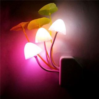 Đèn ngủ cảm ứng hình nấm - Avatar