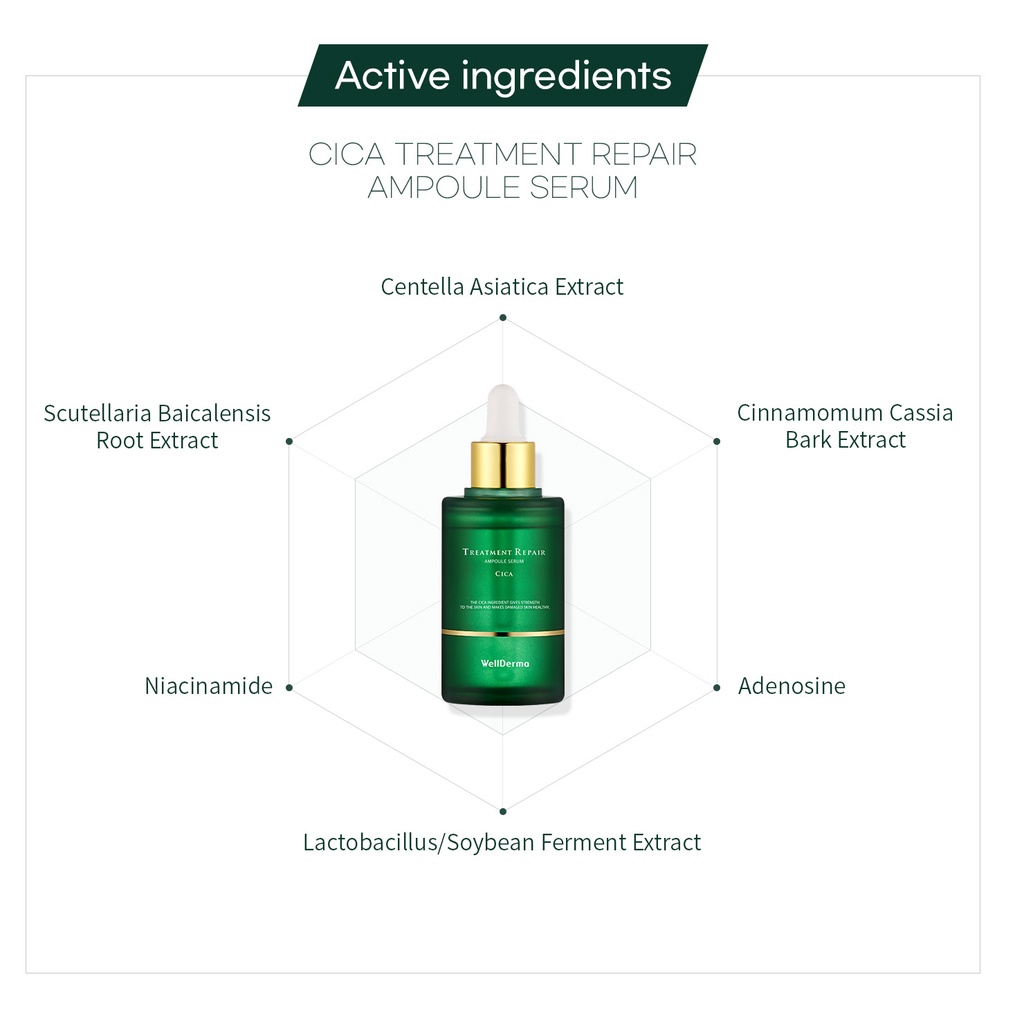 Bộ huyết thanh serum Cica và con lăn Wellderma v-line mini Cica Beauty Care Serum & Roller Set