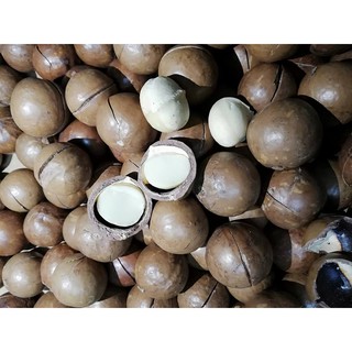 (Úc 100% size Jumbo Cao Cấp) Hạt Mắc Ca Úc (Macadamia) Nuhaki sấy nứt vỏ không pha trộn