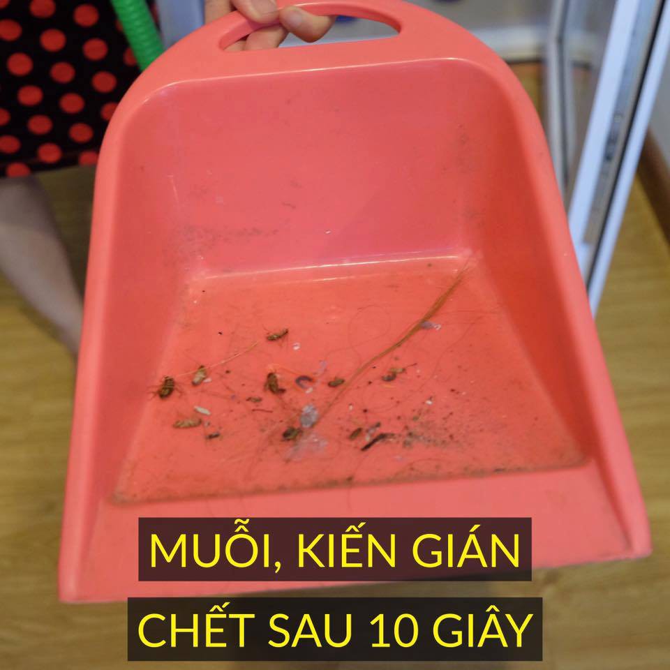 Bình xịt muỗi  kiến, gián Thảo Mộc Plus - diệt côn trùng Cực kỳ an toàn đối với người lớn và đặc biệt là trẻ nhỏ và thú