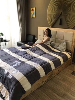 CHĂN ĐẠI HÀN chăn lông thỏ hàng nhập