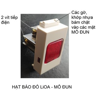 HẠT BÁO ĐỎ LiOA - MÔ ĐUN