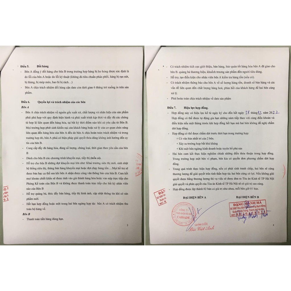 [Mã 267ELSALE hoàn 7% đơn 300K] Ấm đun nấu đa năng, chưng yến, nấu cháo, hầm Hàn Quốc BS20