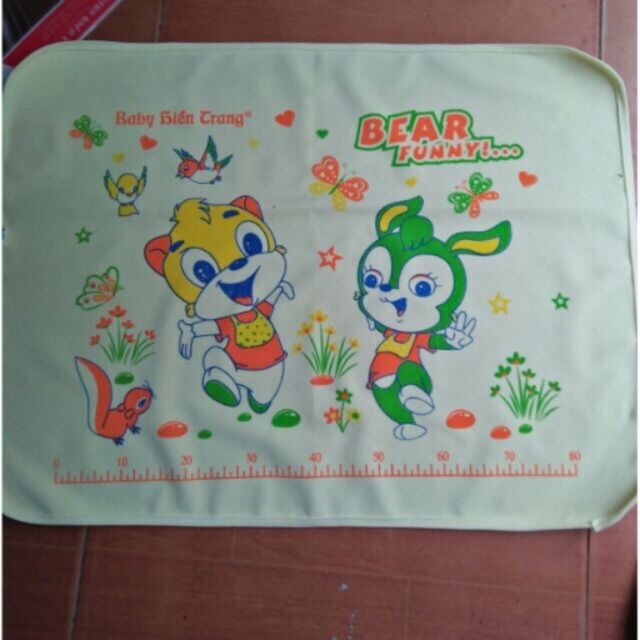 Chiếu cao su Hièn Trang chống thấm