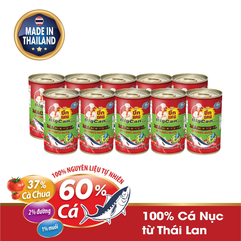 Lốc 10 hộp cá sốt cà chua BigCan Thái Lan 1.4kg/lốc, gồm cá mòi và cá nục