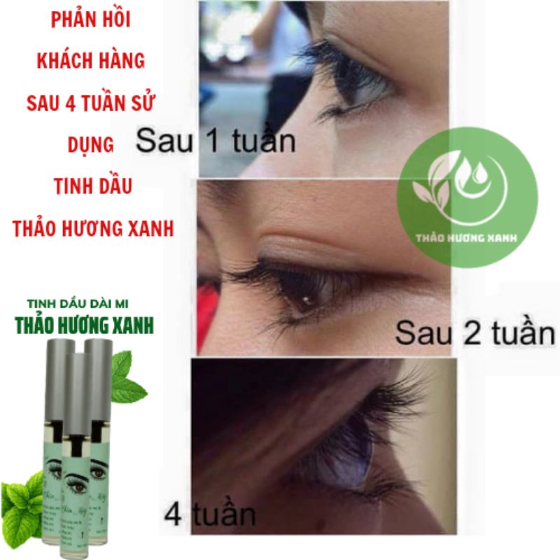 TINH DẦU THẢO MỘC MỌC DÀI MI VÀ MÀY THẢO HƯƠNG XANH