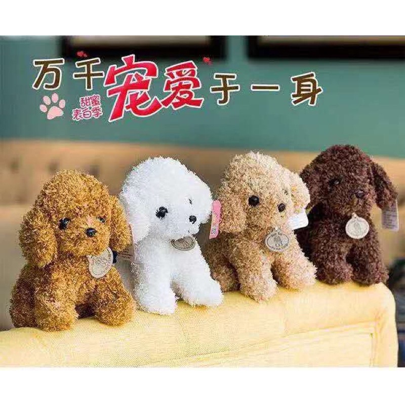 Gấu bông chó Poodle ngồi
