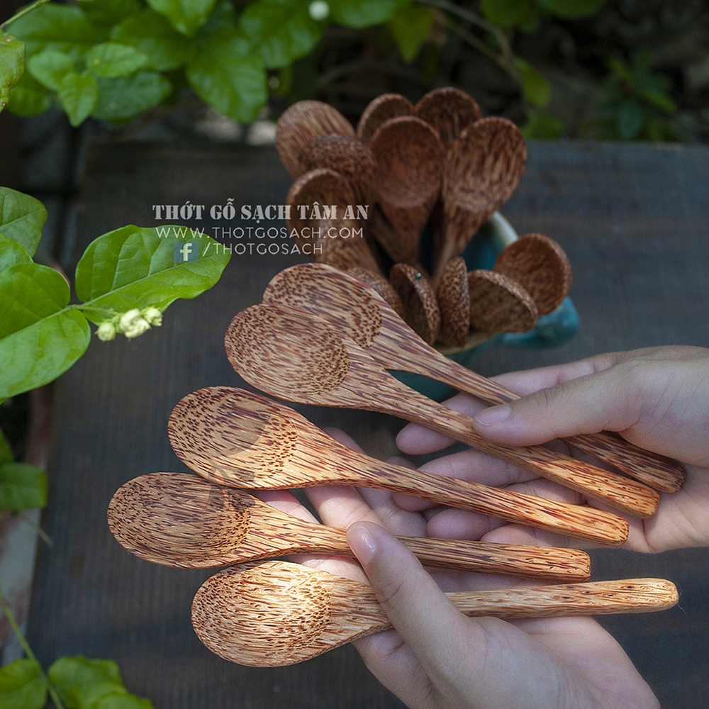 Muỗng Dừa Thân Thiện Môi Trường