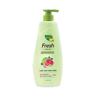 Dầu Gội Fresh Tinh Dầu Bưởi - Bổ Sung Tinh Chất Collagen 550g