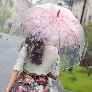 Dù trong suốt hoa anh đào - Winz.vn