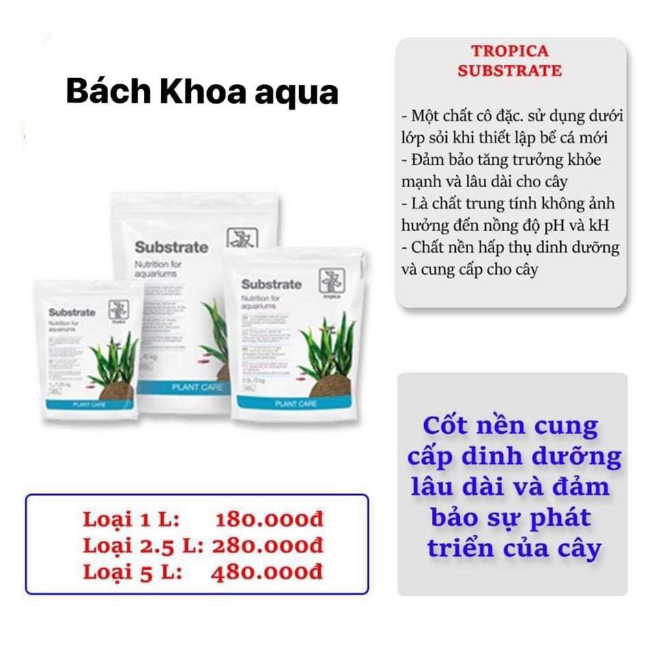 Cốt nền Tropica Substrate | WebRaoVat - webraovat.net.vn