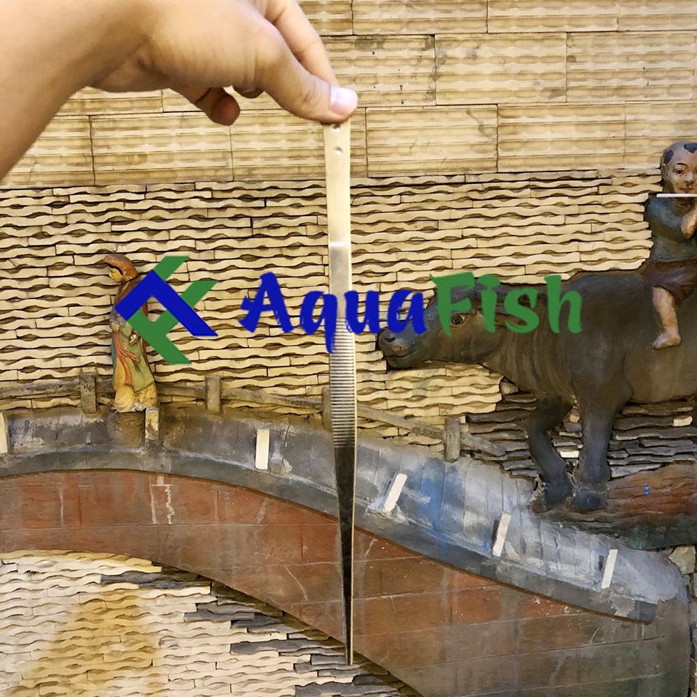 Kẹp Nhím Trồng Cây Thủy Sinh