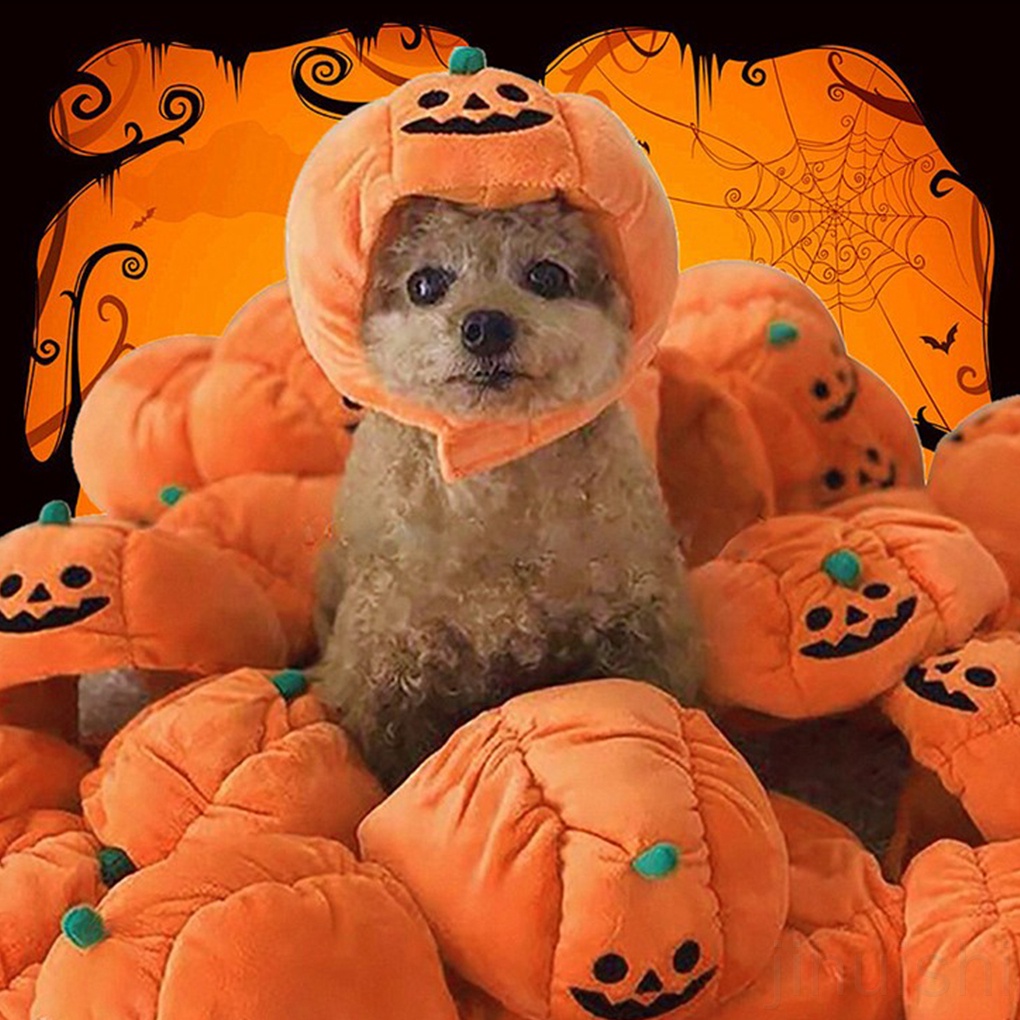 Mũ hình quả bí ngô hóa trang Halloween