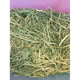 1kg cỏ anfa cho thỏ bọ ú