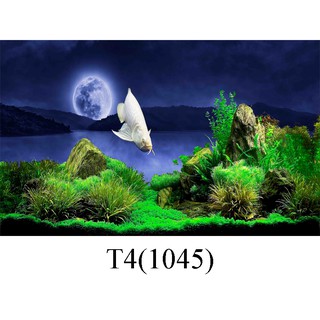 Tranh 3d dán hồ cá mẫu mã đa dạng có keo sẵn