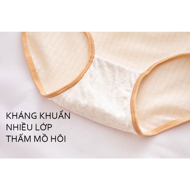 Quần lót cute nữ cotton trơn kẻ gân 328