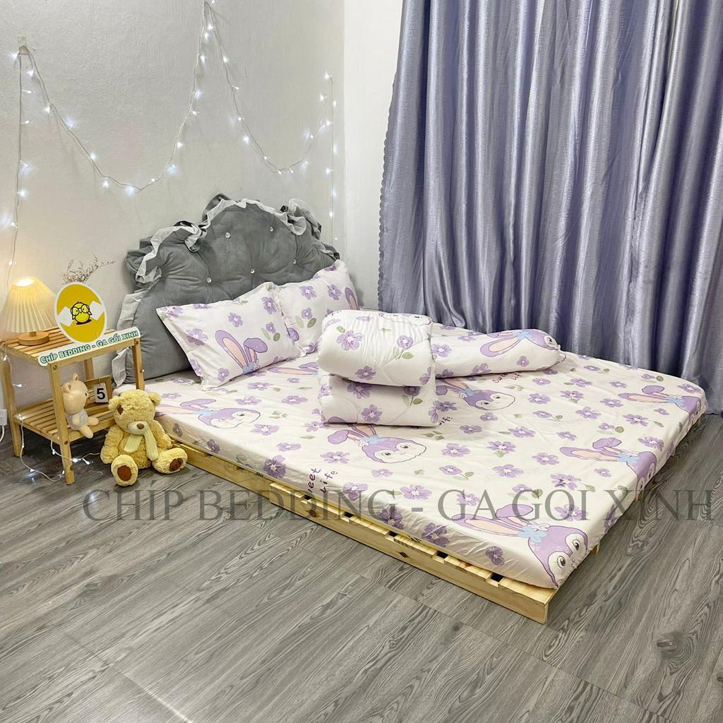 TRỌN BỘ COTTON POLY 5 MÓN CHĂN PHAO DÀY DẶN HÀNG VN - THỎ SWEET - ĐỦ KÍCH THƯỚC