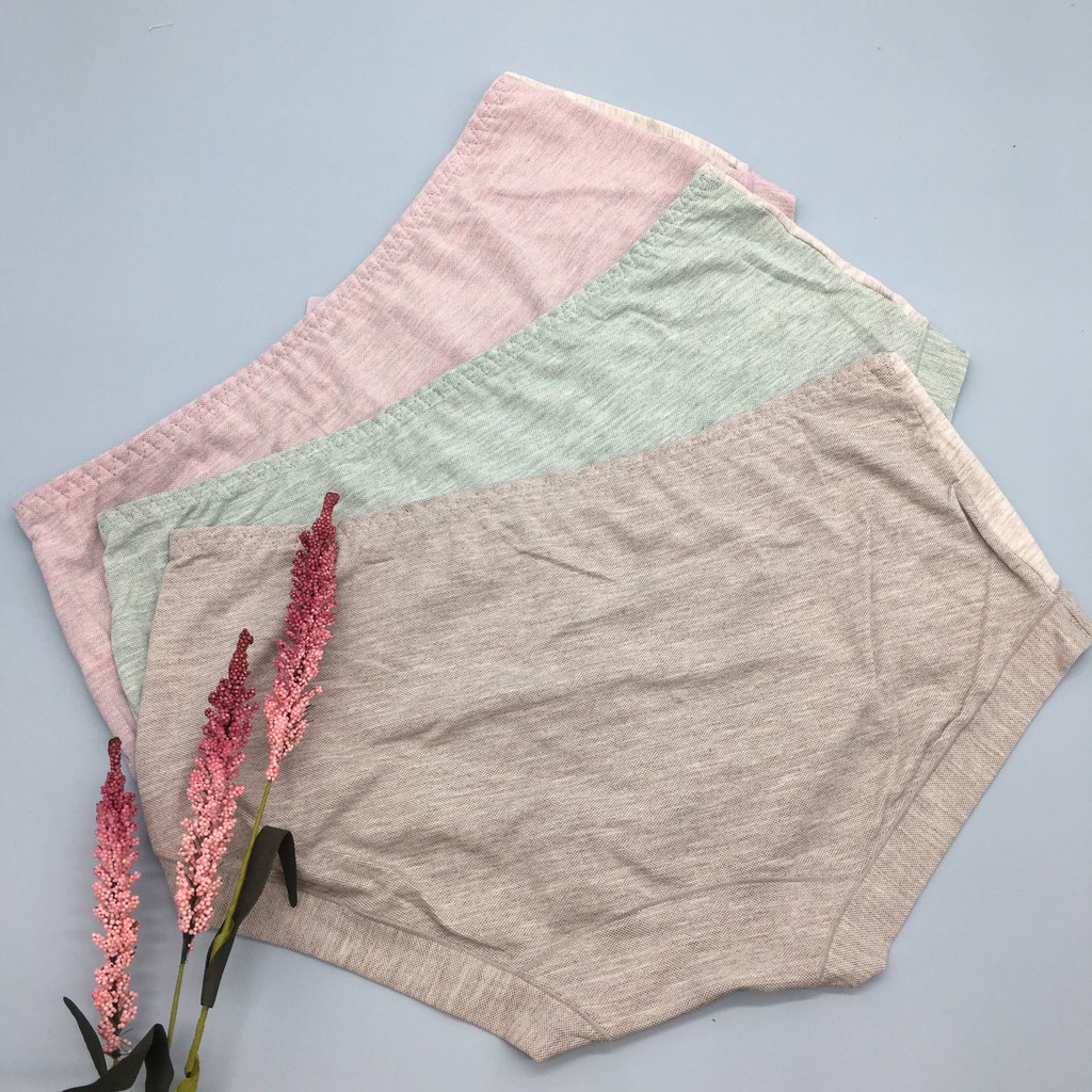 Quần chip cotton cho mông 90 - 93cm, quần sịp nữ cotton không gian eva KGE | BigBuy360 - bigbuy360.vn