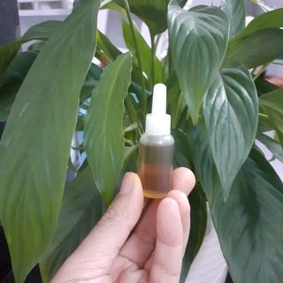{10ml} Dầu Mù U Nguyên Chất 100% ( nhà làm)