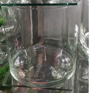 bình thủy tinh dạng trụ 20x20