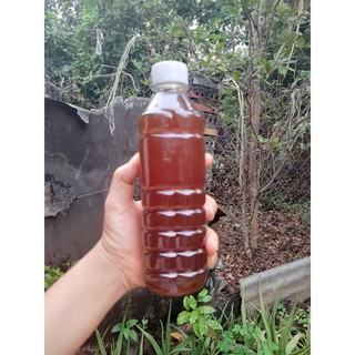 Mật Ong Nguyên Chất Hoa Cà Phê