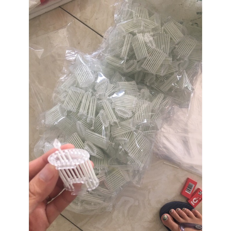 Rọ đựng cào cào cho chim