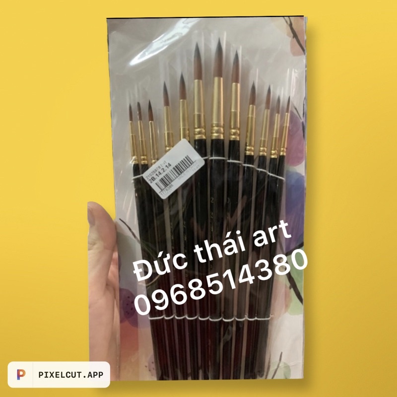 Cọ vẽ màu nước tỉa lông mềm thân đen