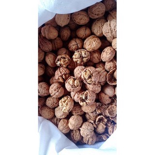  1kg Quả Óc Chó Nếp Tây Bắc 