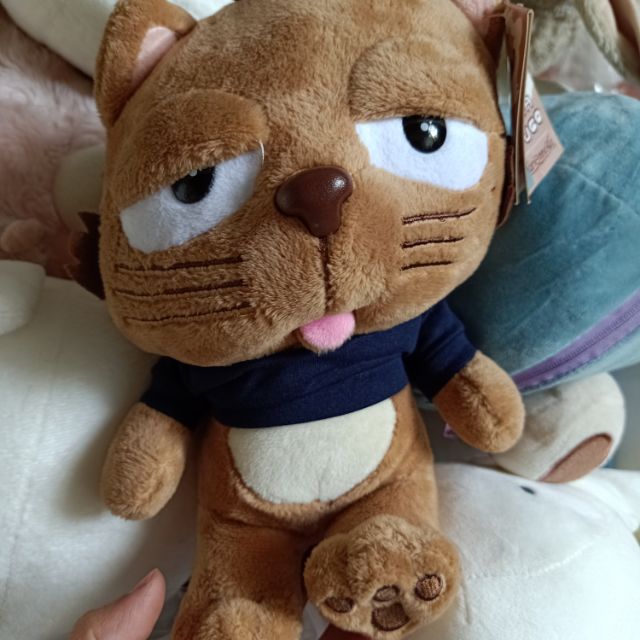 Gấu c cua chị ut