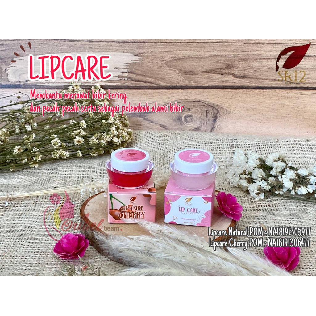 (Hàng Mới Về) Son Dưỡng Ẩm Môi Tự Nhiên Sr12 | BigBuy360 - bigbuy360.vn