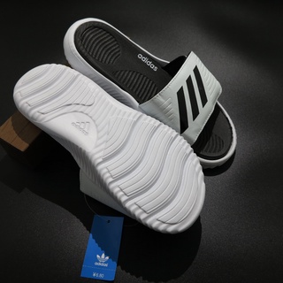 DÉP ADIDAS ALPHABOUNCE  - full box
