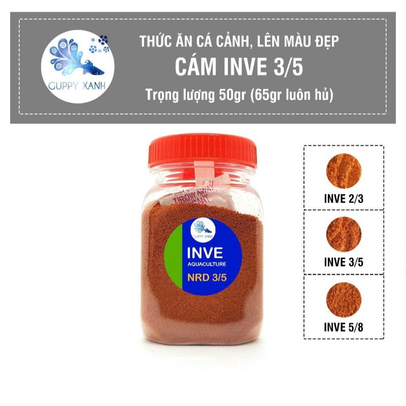 50gr Cám Thái INVE 3/5 | Thức Ăn Cao Cấp Cho Cá Guppy, Betta Guppy Xanh