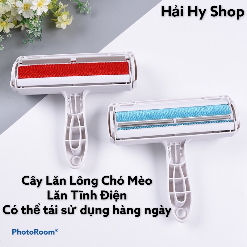 Cây LĂN LÔNG chó mèo Tĩnh Điện - Siêu dính lông