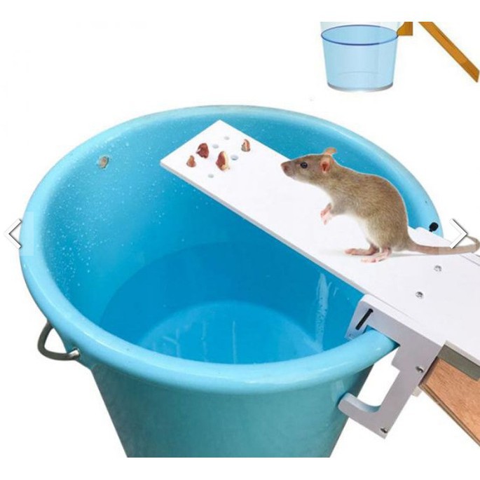 Dụng cụ bẫy chuột Rattali - Bẫy bắt chuột siêu đơn giản