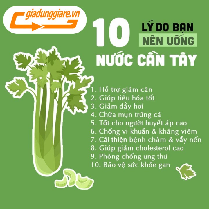 BỘT CẦN TÂY hưu cơ DALAHOUSE (Hộp 60g gồm 20 gói 3g) Thải độc cơ thể dễ dàng với CẦN TÂY tự nhiên - giadunggiare.vn