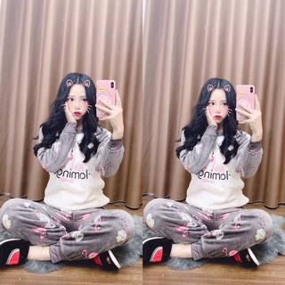 bộ bông thú kute
