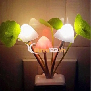 Đèn ngủ nấm cảm ứng
