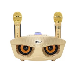 Loa Bluetooth karaoke SD-306 [HAY LẮM LUÔN ]
