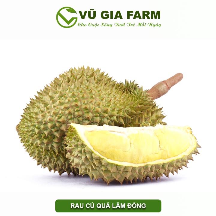 Cơm sầu riêng Ri6 Lâm Đồng Vũ Gia Farm ( 200gr/ 400gr)