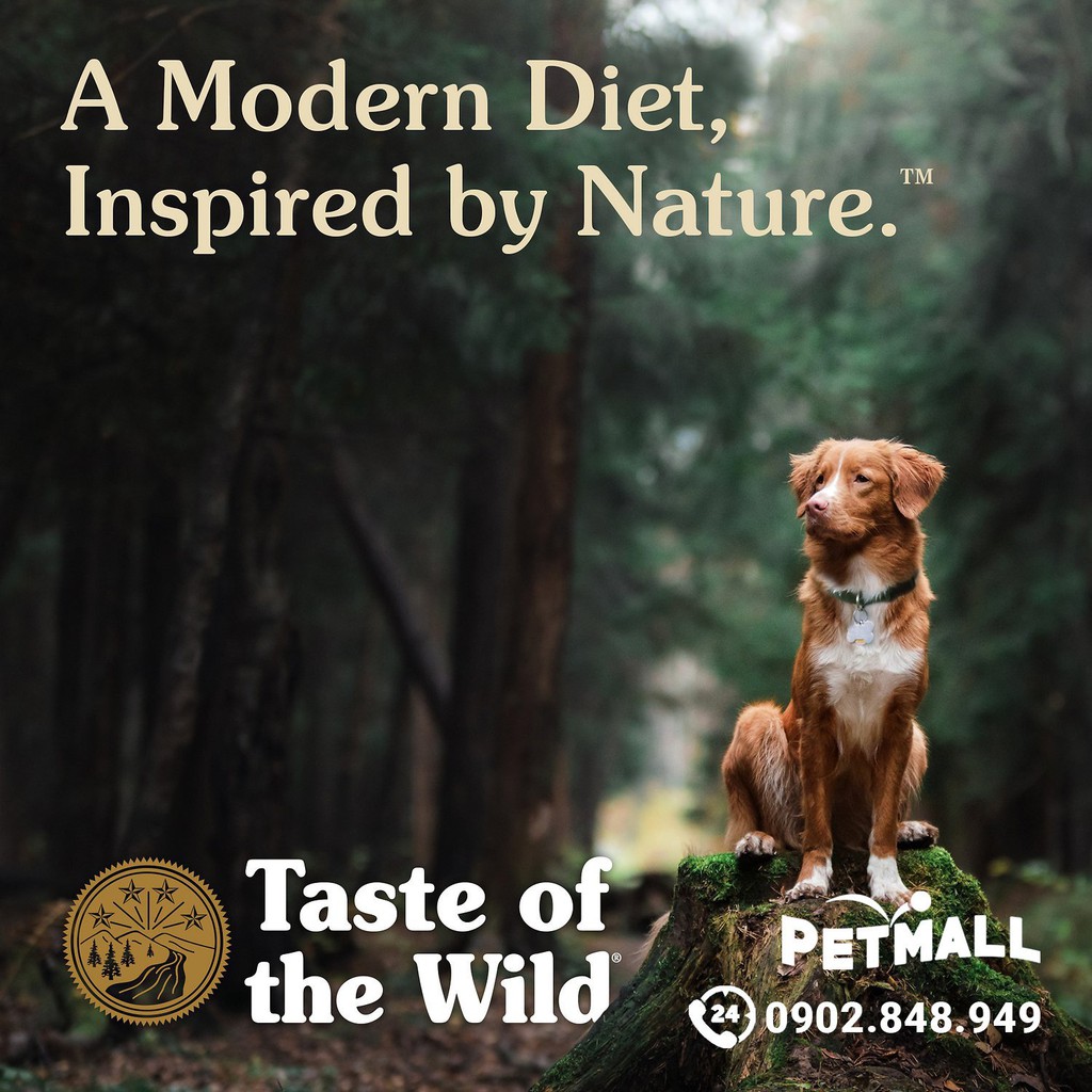 Thức ăn chó Taste Of The Wild Southwest Canyon 2kg - Wild Boar, Heo Rừng Nướng - mọi lứa tuổi nhập USA