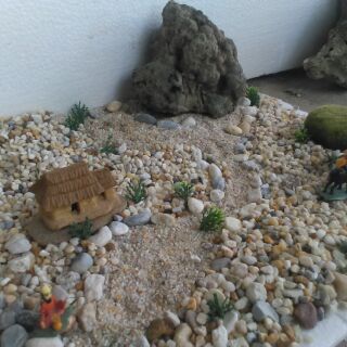 Đá san hô hồ cá tặng kèm đá san hô nhỏ