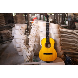 Guitar classic C48 mặt gỗ thông già. Tại xưởng hà nội