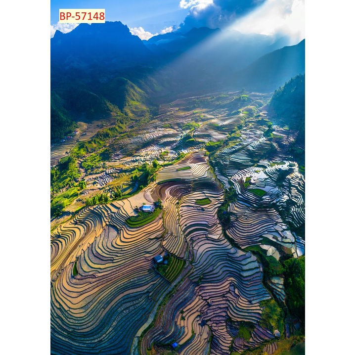 Tranh dán tường tổng hợp địa danh Việt Nam 3D hình ảnh siêu sắc nét, màu chuẩn không phai, giá cả cạnh tranh thị trường