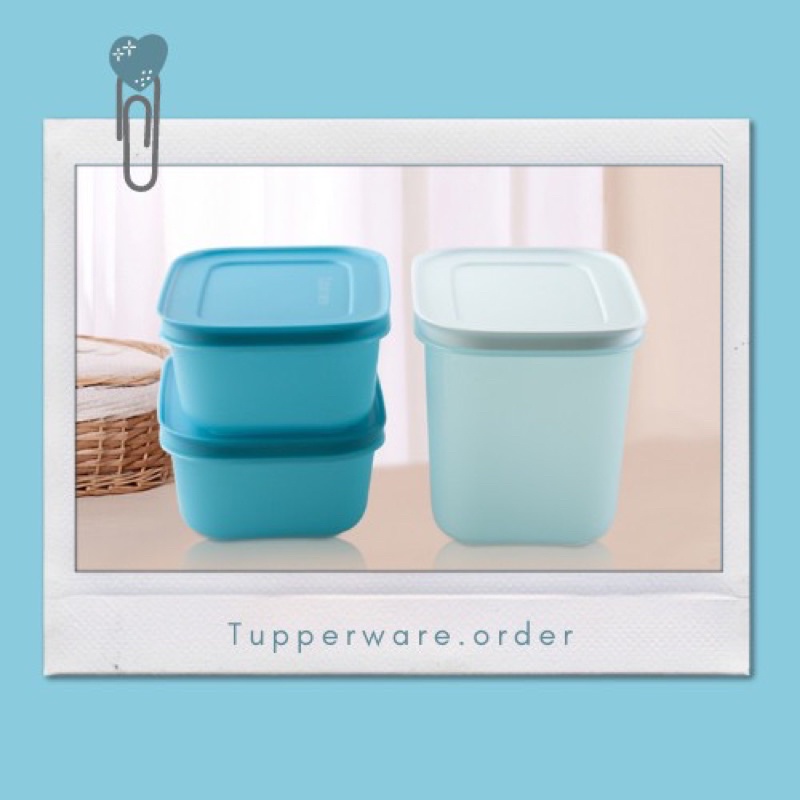 Hộp trữ đông dẻo tupperware gen II