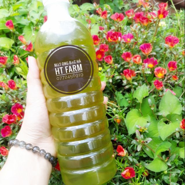 MẬT ONG BẠC HÀ NGUYÊN CHẤT