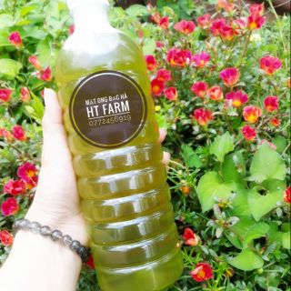 MẬT ONG BẠC HÀ NGUYÊN CHẤT