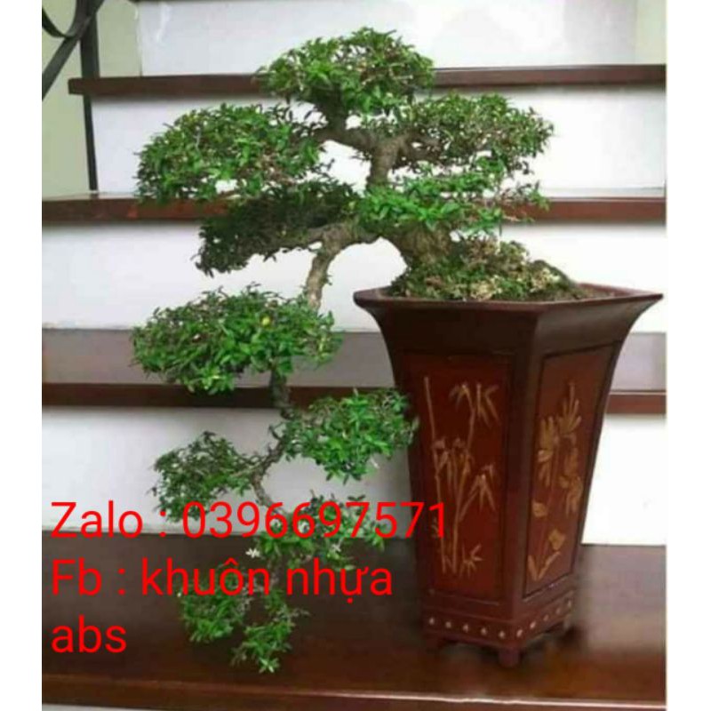 Khuôn lục giác ống 55