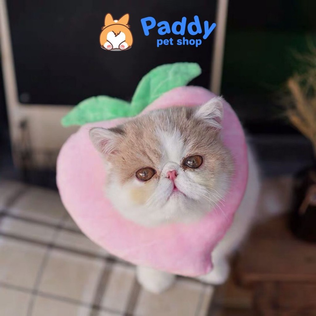 Loa Gối Chống Liếm Nhồi Bông Đáng Yêu Cho Chó Mèo