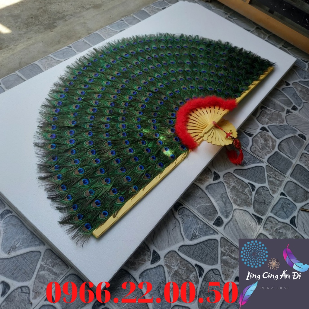 lông công trắng đẹp giá rẻ dài 70_80 cm | BigBuy360 - bigbuy360.vn