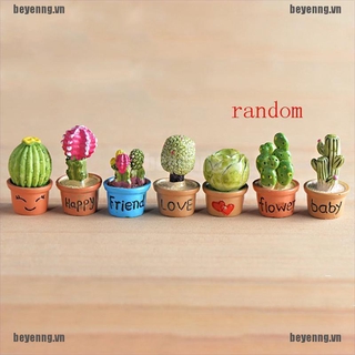 Đồ trang trí Cây Xương Rồng Mini Dùng Trang Trí Sân Vườn DIY